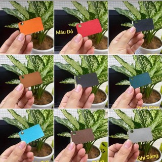 Thế Giới Dán Da&Màn Hình