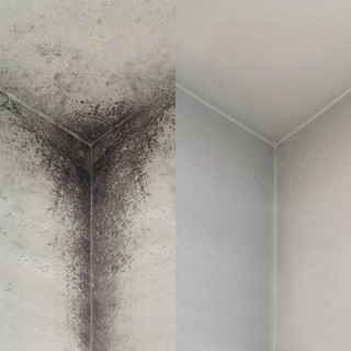 Bình Xịt Tẩy Nấm Mốc Tường Nhà, Phòng Tắm ,Nhà Bếp LKB 500ml