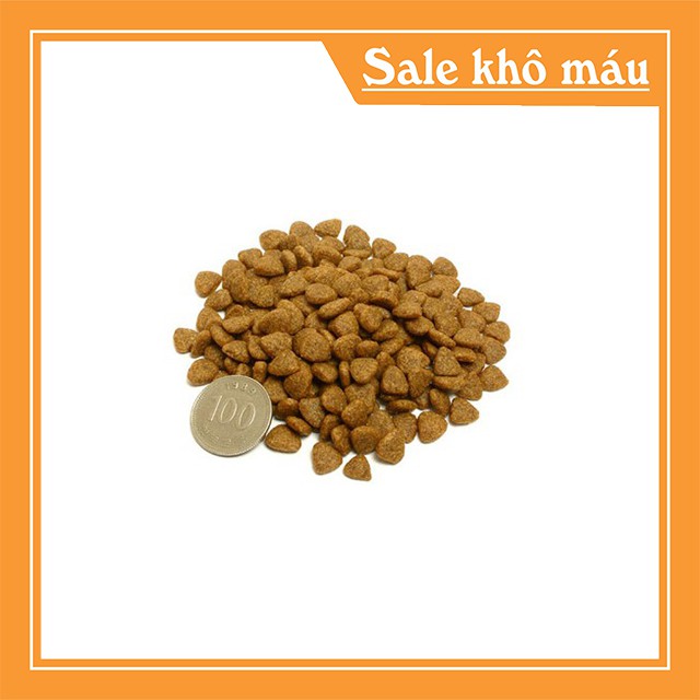 [RẺ NHẤT TOÀN QUỐC] Gói hạt CATSRANG dùng thử 50g cho mèo con - Bobo Petshop Phụ Kiện Thú Cưng Hà Nội