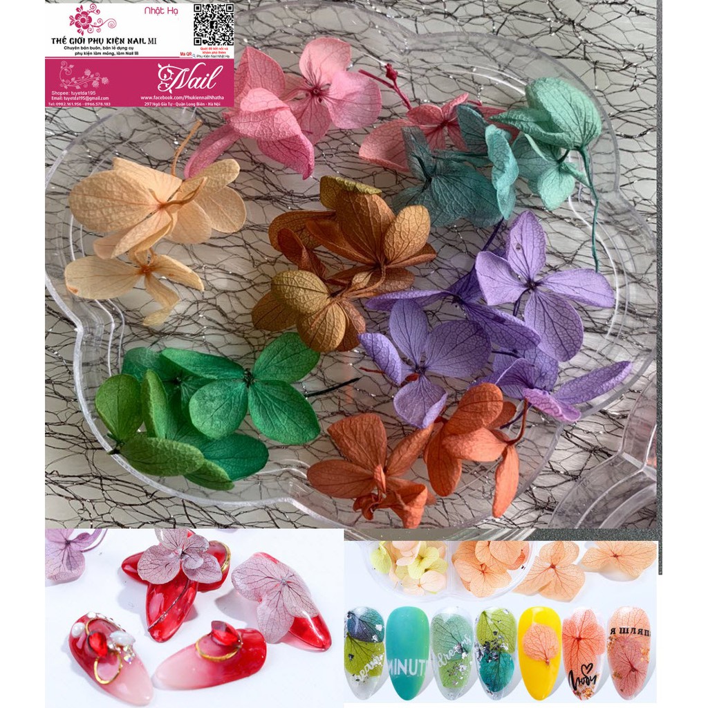Hoa Khô Lụa Cánh To Ẩn Gel, Ẩn Bột - Phụ Kiện Trang Trí Móng Nail Art