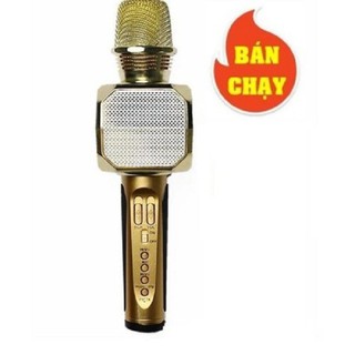 Mic kèm loa cao cấp sd10