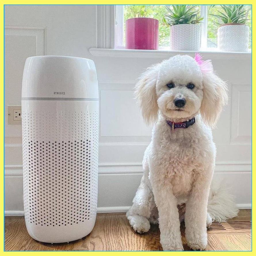 Máy lọc không khí khử mùi lông vật nuôi Homedics AP-PET35 HTS