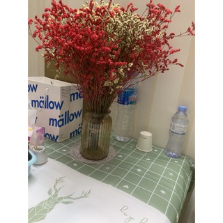 [HB Gift] Bình hoa thủy tinh Pantene (HÀNG TẶNG KHÔNG BÁN)