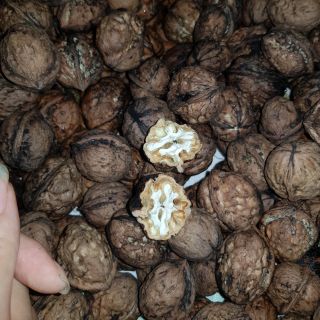 Óc chó tươi ăn ngon , ngậy , béo , ngọt dễ ăn lắm ý ah,Mẹ mang bầu , hay đang cho con ăn dặm thì đừng nên bỏ qua món này