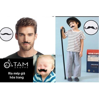 bộ 6 cái ria mép giả