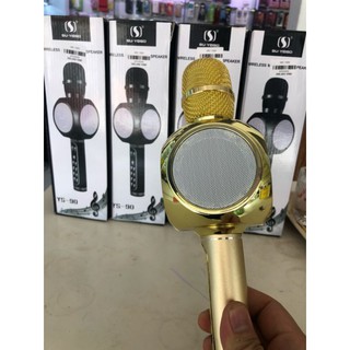 Loa hát karaoke YS 90