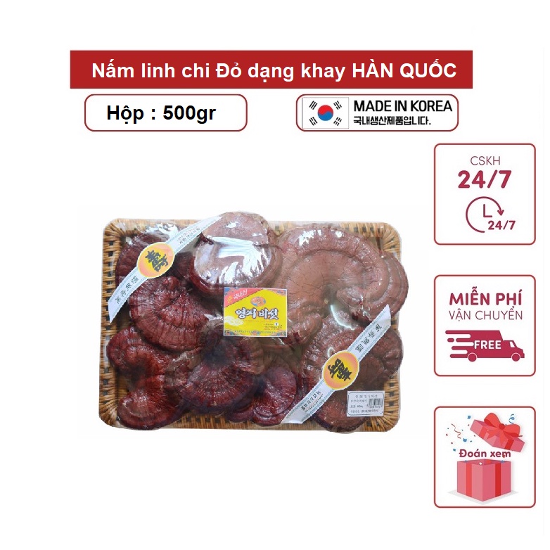 Nấm linh chi Đỏ dạng khay HÀN QUỐC