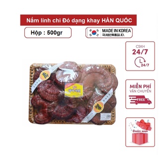 Nấm linh chi đỏ dạng khay hàn quốc