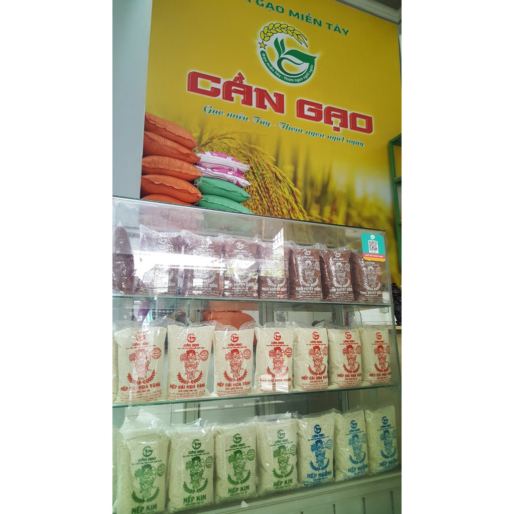 Nếp Cái Hoa Vàng -CẦN GẠO