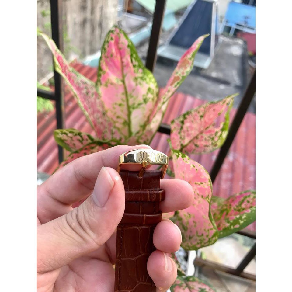 ĐỒNG HỒ CƠ NAM AUTOMATIC CHÍNH HÃNG JUNMING DÂY DA CAO CẤP TẶNG KÈM VÒNG ĐEO TAY TỲ HƯU (ẢNH THẬT 100%) | BigBuy360 - bigbuy360.vn