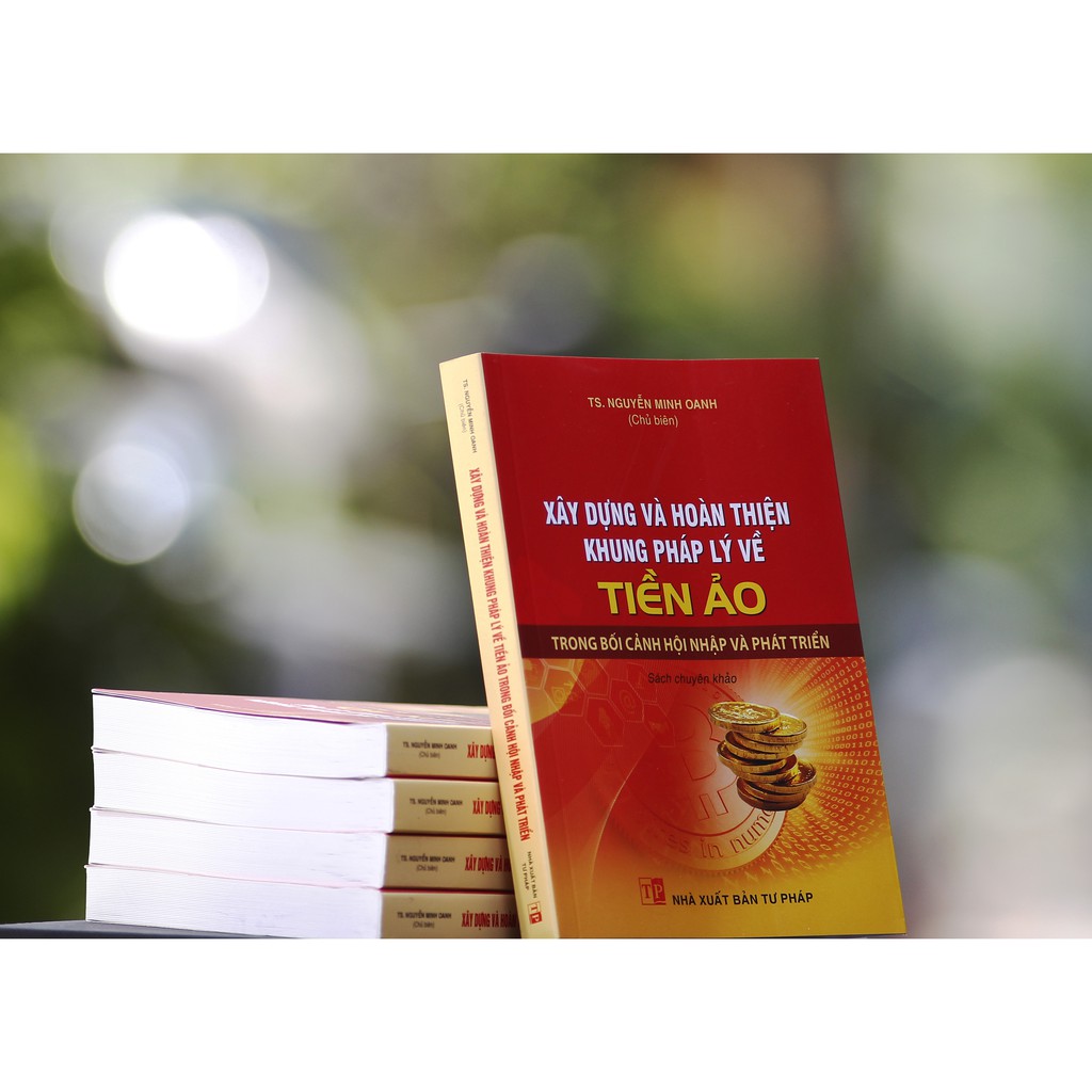 Sách - Xây dựng và hoàn thiện khung pháp lý về tiền ảo | BigBuy360 - bigbuy360.vn