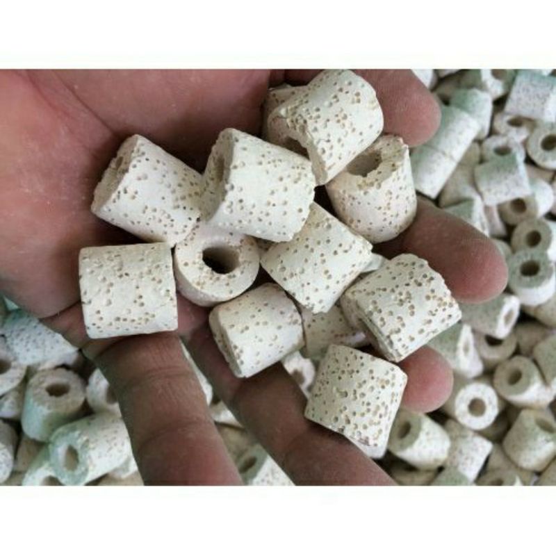 Sứ Viên Lọc Nước Bổ Cá Trắng Cho Hồ Cá Cảnh -Milo Guppy