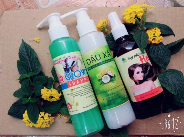 Bộ dầu thảo dược | BigBuy360 - bigbuy360.vn