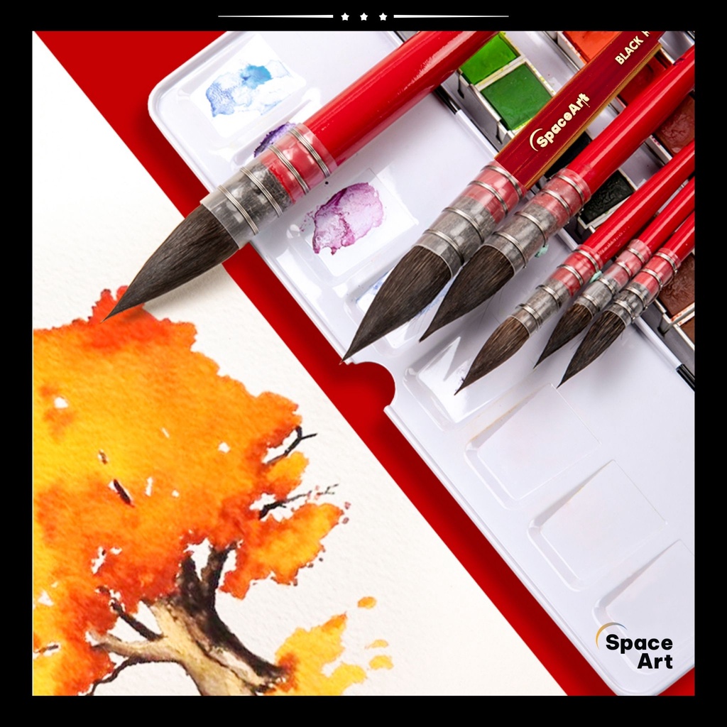 Cọ MOP Vẽ Màu Nước Lông Chồn Space Art SP300