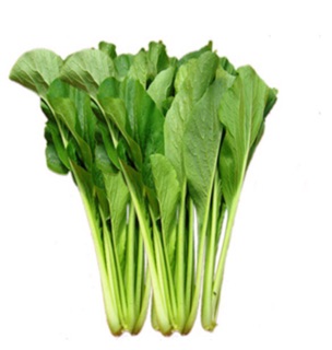 Hạt giống cải ngọt