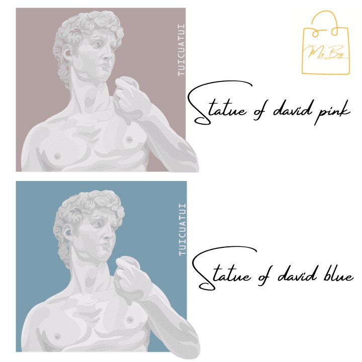 [TOTE BAG LOCAL BRAND] Túi Tote Unisex TUICUATUI Vải Canvas Mẫu In Statue of David Pink