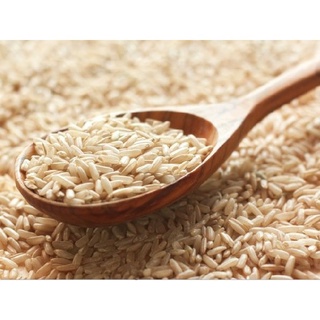 Gạo lứt tẻ trắng điện biên / gạo lứt trắng / gạo nguyên cám - 1kg