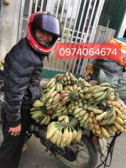 Chuối hột rừng tươi tây bắc