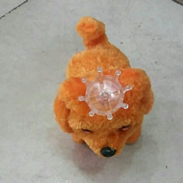 Chó biết đi biết kêu