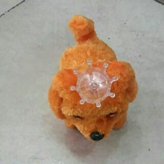 Chó biết đi biết kêu