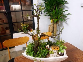 Cặp ông bà già ngồi