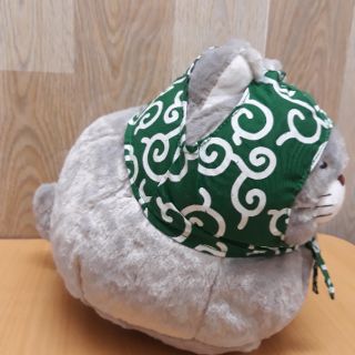 Mèo tam thể