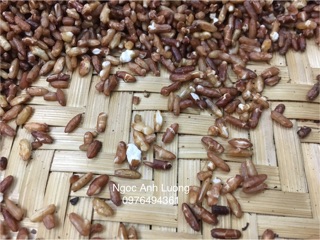 Gạo lứt rang dùng pha trà hoặc ăn liền
