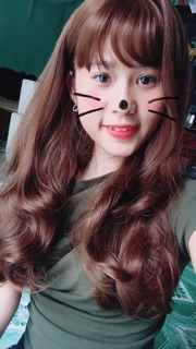 Bộ cả đầu