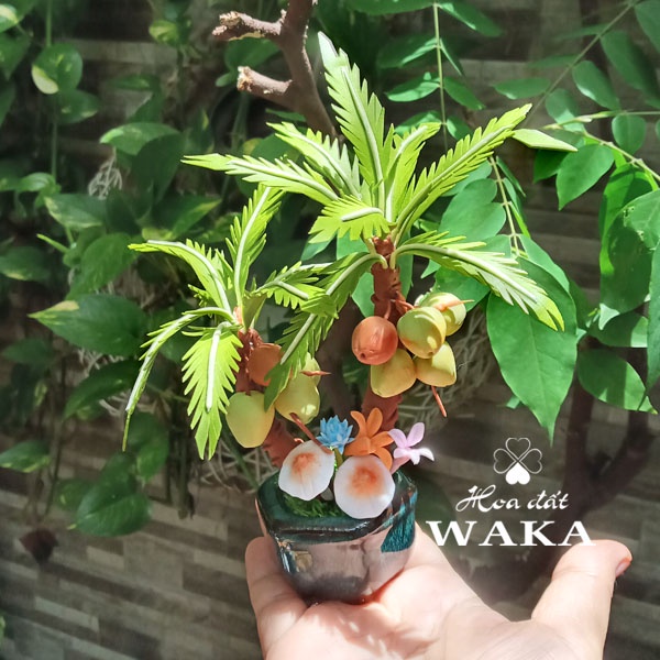 Hoa Đất Sét Mini-Cây Dừa