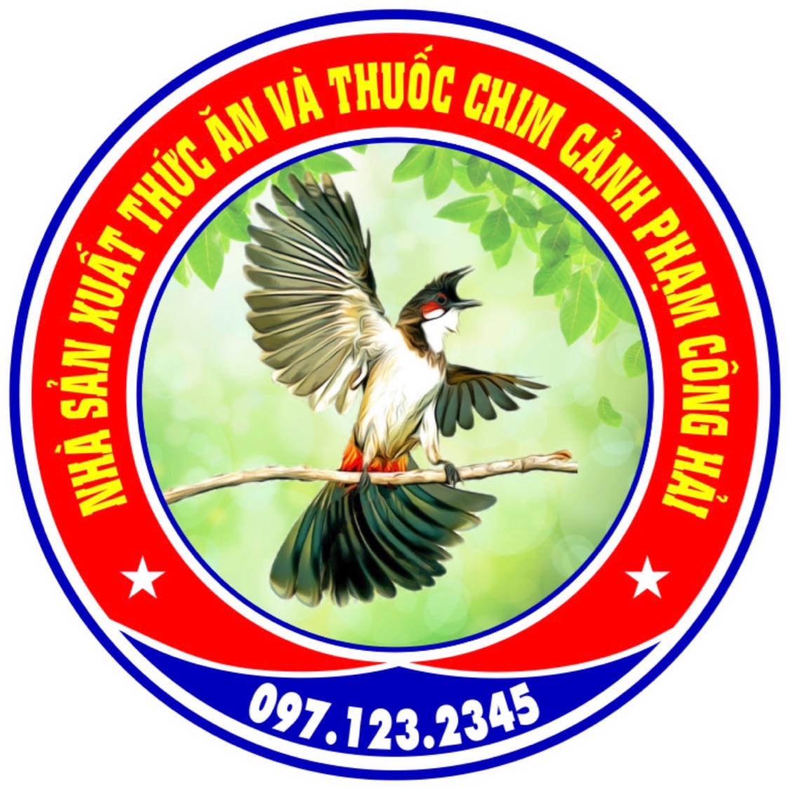 Bộ Chào Mào Tây Sơn - Bình Định | 5giay