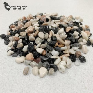 Sỏi ba màu tự nhiên ( chọn size )