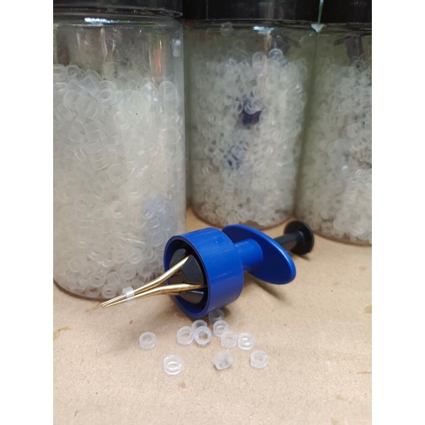 Combo kẹp mồi + chun 2000 cái loại to , giá rẻ