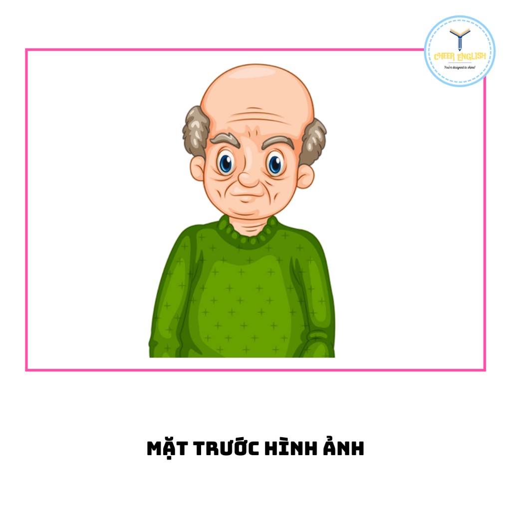 Flashcard chủ đề gia đình thẻ học Tiếng Anh ép plastic