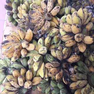 Chuối sáp nhệ bến tre( combo 10kg )