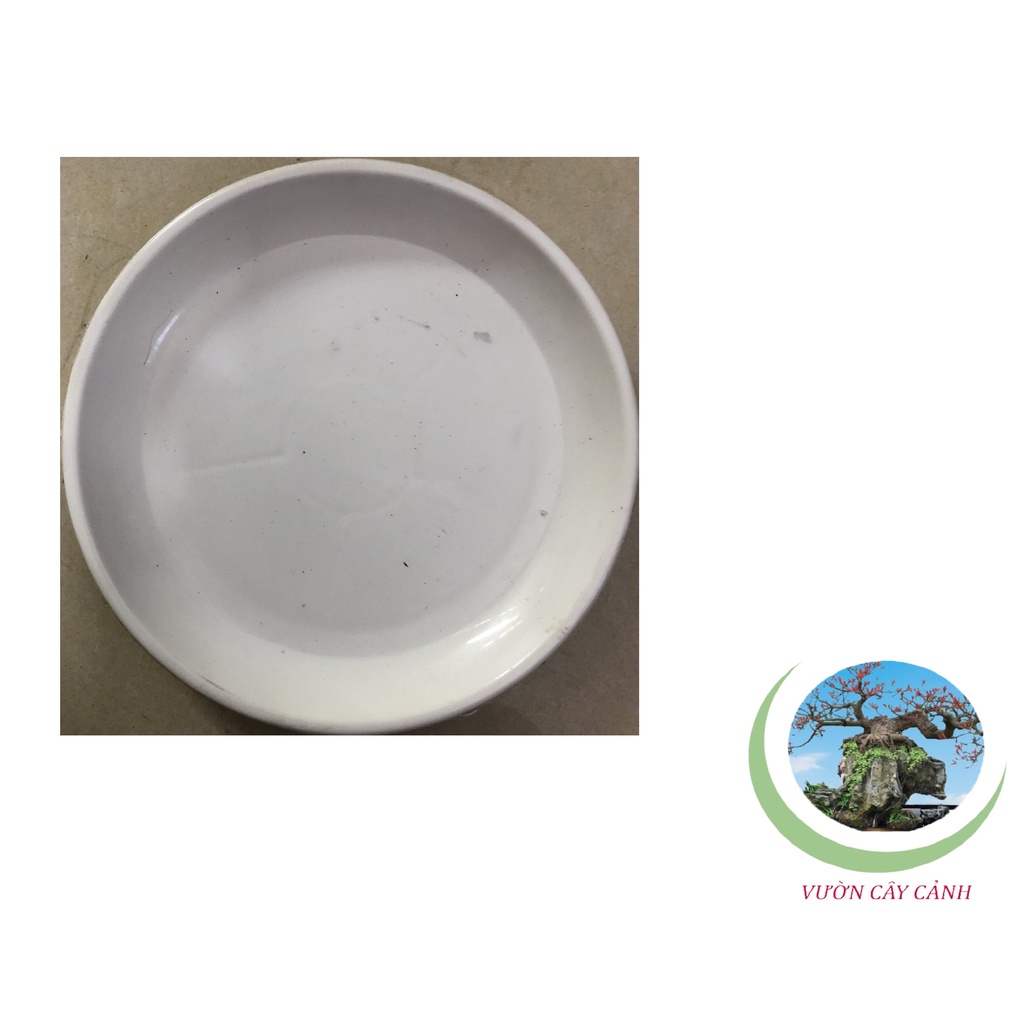 Đĩa lót chậu tròn Phi 21cm - #041D#