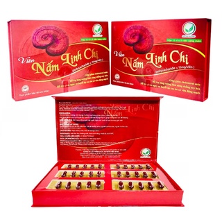 Combo 3 hộp viên nấm linh chi