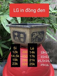 Combo  800 chậu C6 + 100 chậu C10