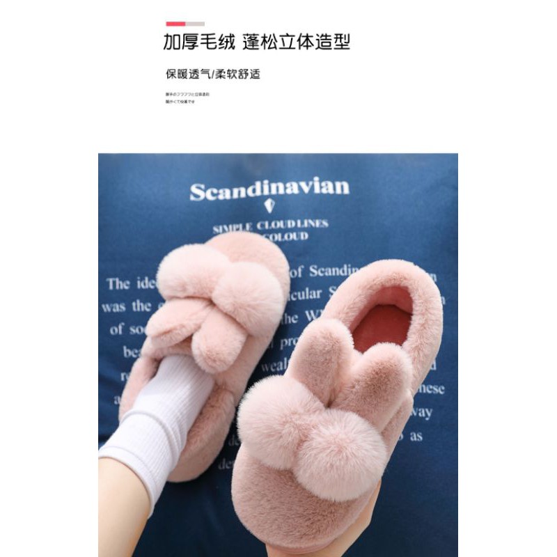 DÉP LÔNG ĐI TRONG NHÀ