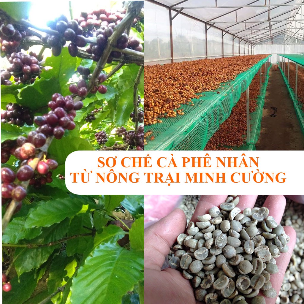 500gr Cà phê Arabica Cầu Đất - Cafe hạt Moka thượng hạng rang Mộc