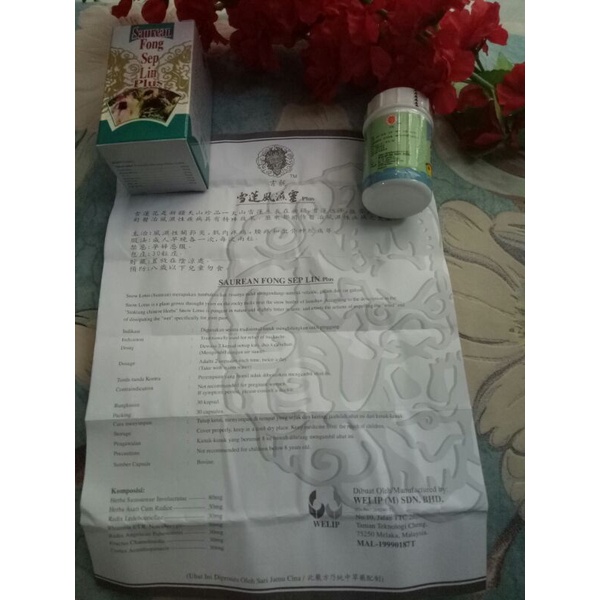 TUYẾT LIÊN PHONG THẤP LINH PLUS MALAYSIA