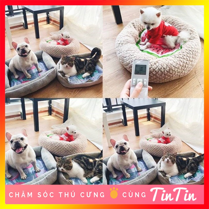 Đệm Làm Mát Gel Nước Cho Thú Cưng Chó Mèo #TintinPet Store