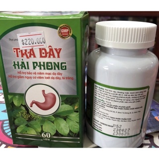 Viên Trà Dây Hải Phong ( new 2022 )