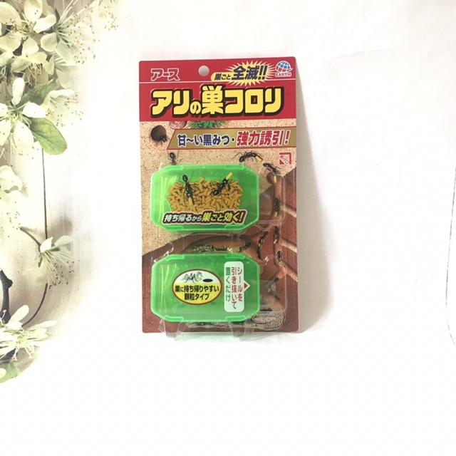 Combo thuốc diệt kiến