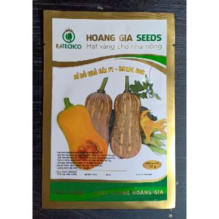 Hạt giống bí đỏ quả dài - 20 hạt
