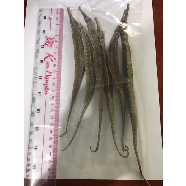 Combo 10 con cá hải long 3 cạnh Kiên Giang