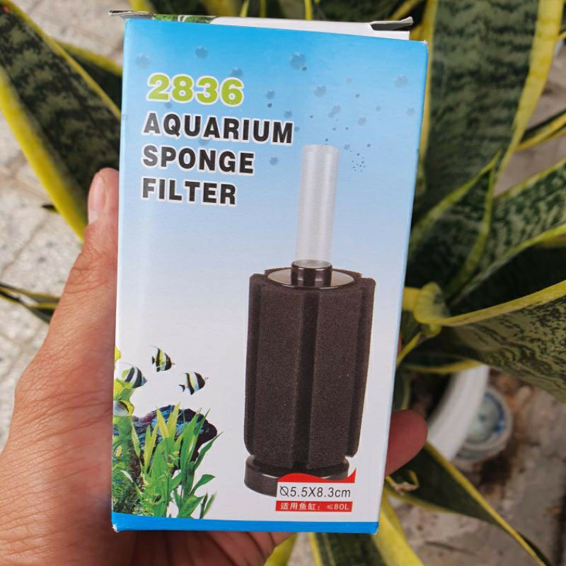 Lọc Sủi vi sinh Bio cho hồ cá cảnh -Milo Guppy