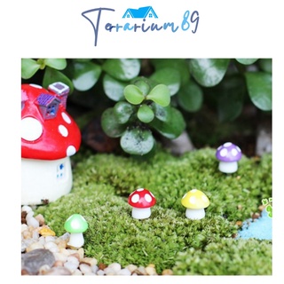Tiểu cảnh trang trí Bọ rùa gỗ mini phụ kiện Terrarium