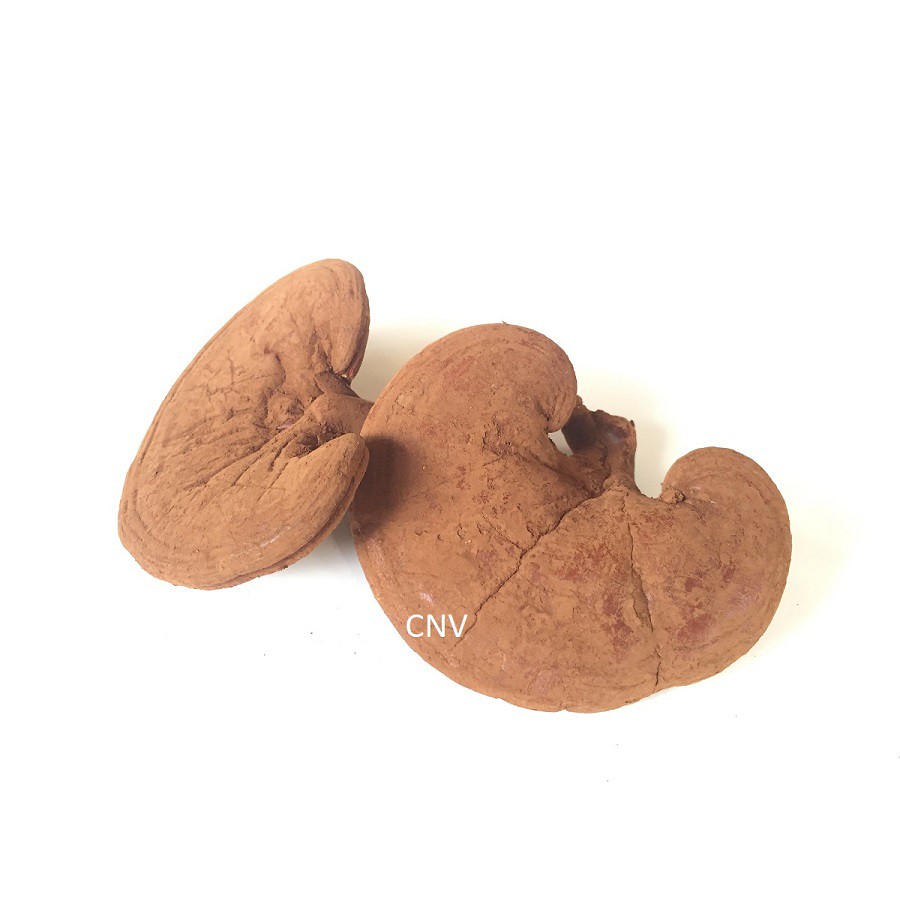 Nấm linh chi đỏ thái lát CNV 500g (Xích chi Việt Nam) | BigBuy360 - bigbuy360.vn