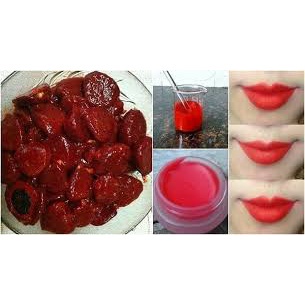 Son dưỡng Dầu gấc 15gr lên màu nhẹ , an toàn 100%