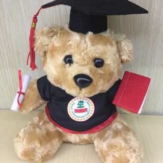 Gấu cử nhân giá sỉ nhận đặt theo yêu cầu sll